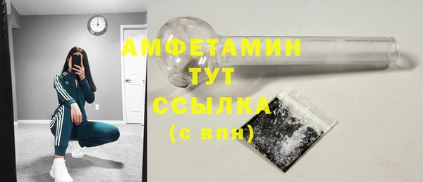 сатива Алзамай
