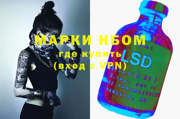 сатива Алзамай