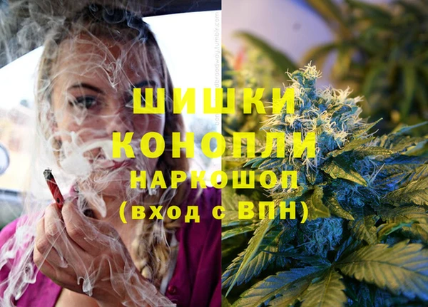 сатива Алзамай