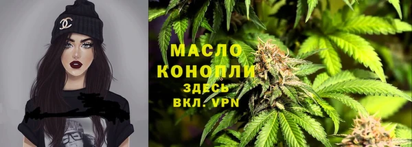 сатива Алзамай